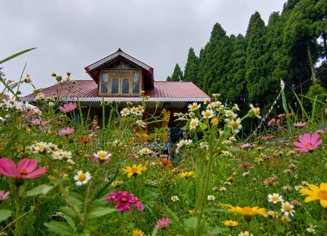 Giri Pine Homestay
